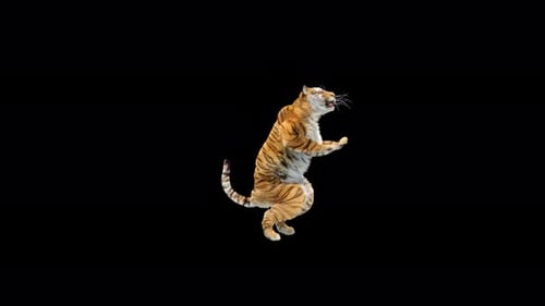 Tiger Tanzen 4K