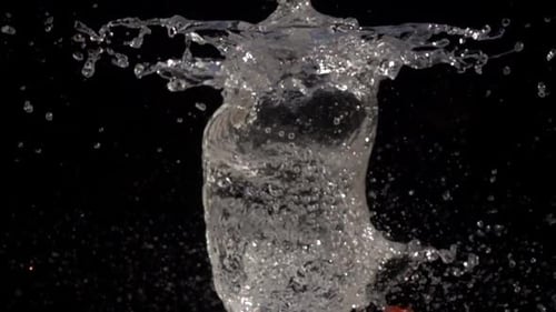 Balloon Filled with Water Bursting in Slow Motion