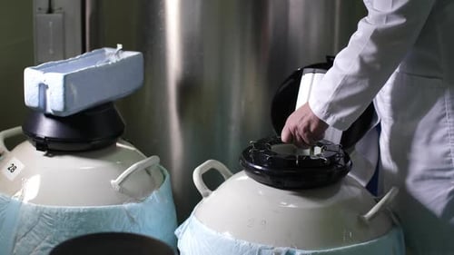 Un embryologiste place des œufs de femmes dans une cryobanque