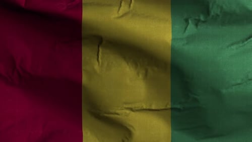 Realistic Waving Guinea Flag Loop with Fabric Texture