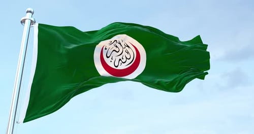 Organization Of Islamic Conference flag waving