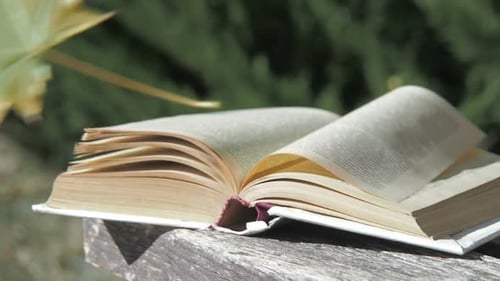 Open Book with Leaf Resting on Pages