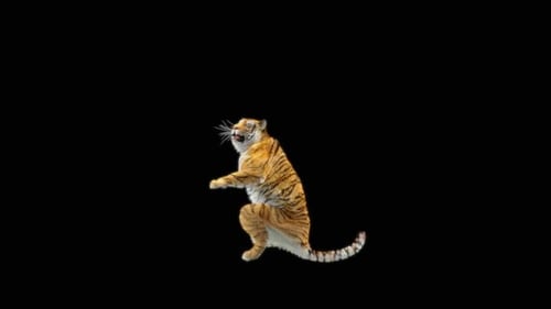 72 Tiger Stehender magischer Angriff HD