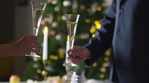 Toasting with Champagne at Christmas Celebration