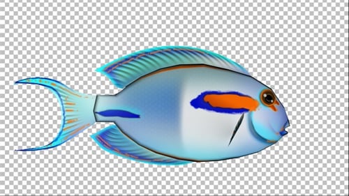 Cartoon Tang Fish Version 05
