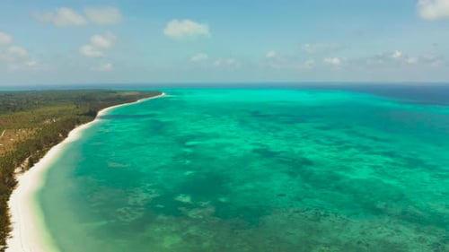 Tropical Island with Sandy Beach