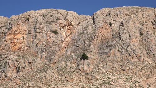 Felsige flache Bergmauer mit spärlichen Bäumen