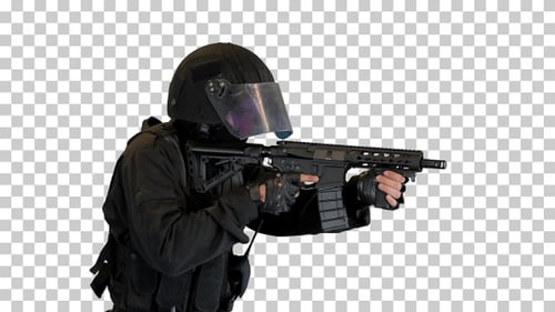 Fusillade d'un combattant de la police antiterroriste, Alpha Channel