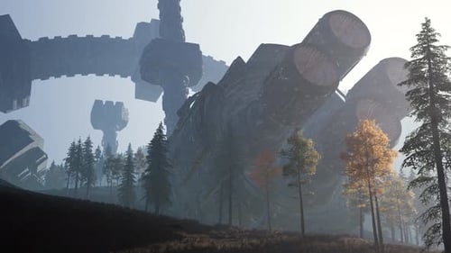 UFO Crashed in the Forest