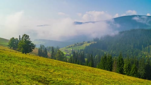 Rolling Hills and Foggy Valley in Rural Landscape