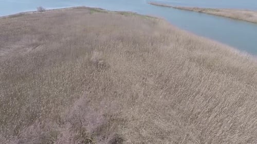 Aerial Reeds and River