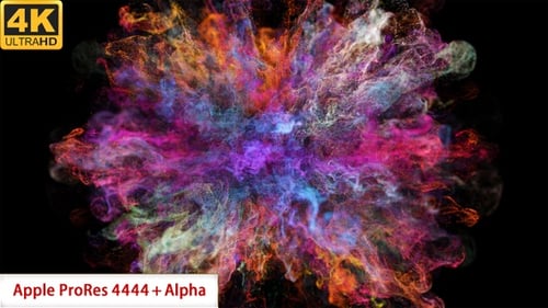 Colorful Fluid Particle Burst Logo Reveal Animation