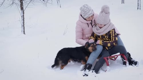 Young Woman and Child Petting Dog in the Snow