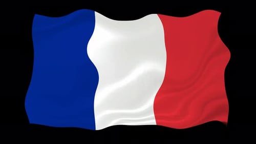 Seamless Looping Waving French Flag