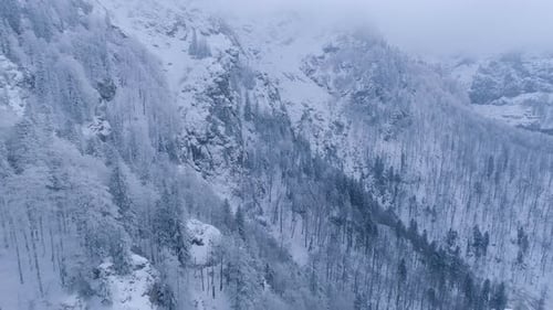 Landscape of frozen forest and mountain peaks during the winter