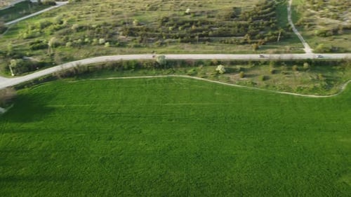 Aerial View on Green Wheat Field in Countryside