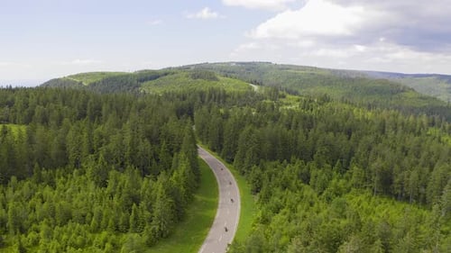 Aerial View Flying Over Two Lane Forest Road with Car Moving Green Trees of Woods Growing Both Sides