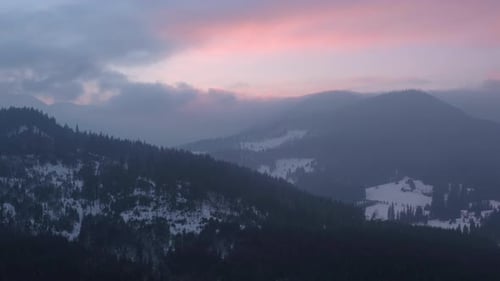 Aerial view of mountains with forest during winter
