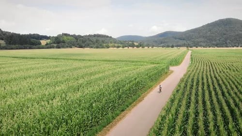 Cycling in Crops