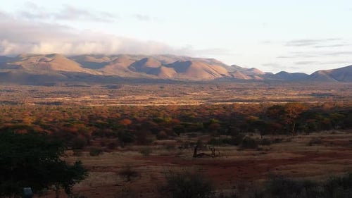 Savannah landscape in Tsavo Park, mountain and forest, Kenya, Slow motion