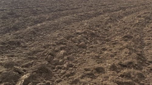 Rich Brown Tilled Soil in Agricultural Field