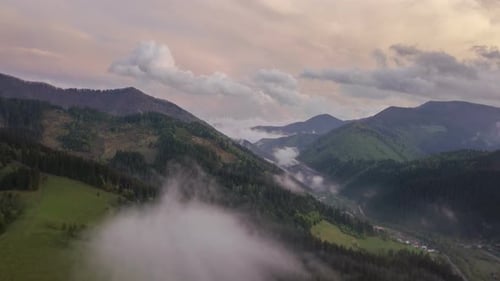Aerial Misty Forest in Evening