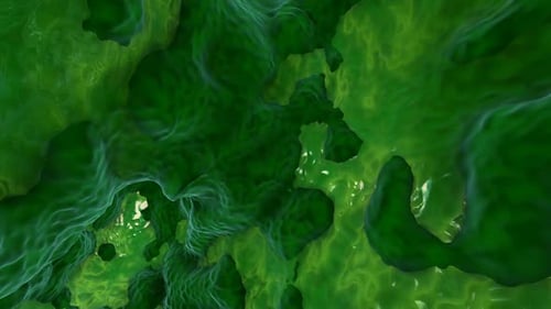 Abstract Green Organic Fluid Biological Tunnel Animation