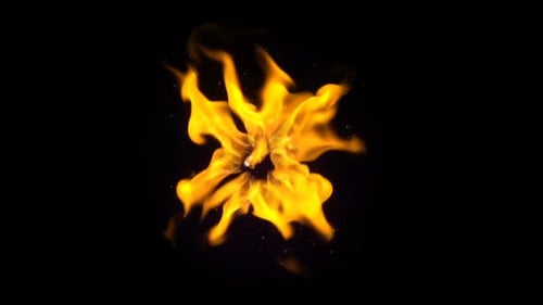 Feuer-Blume