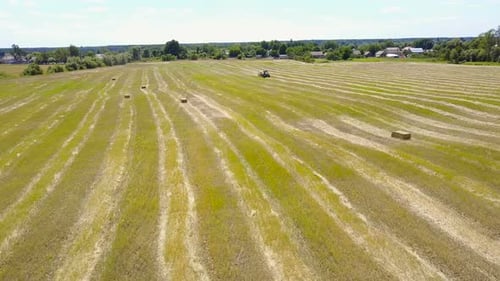 Traktor entleert frischen Weizen