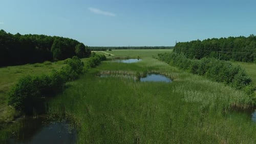Ländliche Landschaft. Grüne Wälder und natürliches Reservoir. Luftbildfotografie