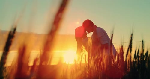 Affectionate couple kissing in field