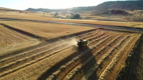 Harvest