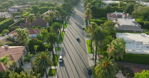 Flying Over a Road in Beverly Hills, Aerial Drone Shot of Car Driving Down Picturesque Street on a S