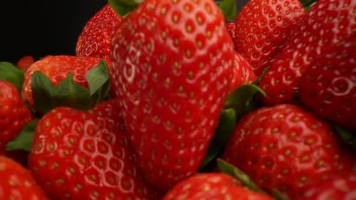 Fraises rouges mûres fraîches 15
