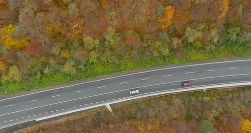 Aerial View of Car Driving Through the Forest a Road in the Middle of an Autumn Forest Full of