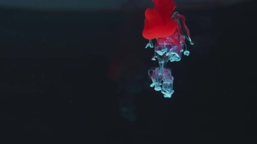 Red and Turquoise Ink Dissolving in Clear Liquid