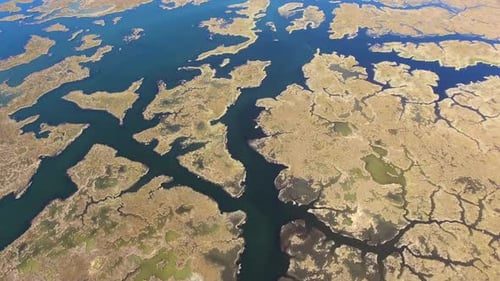 Aerial Reeds, Waterway Channels, Swamp and Wetland in the Delta