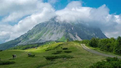Beautiful Alpine Landscape with Cows Clouds and Green Grass with in Switzerland