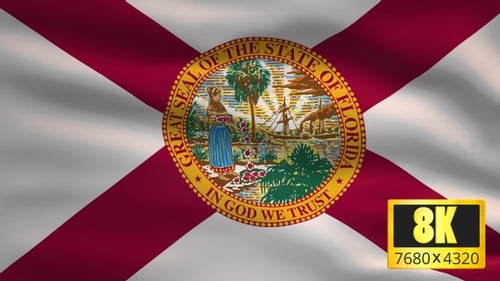 Florida State Flag Waving with Great Seal Loop Animation