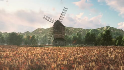 Old Wooden Windmill in Golden Wheat Field Landscape