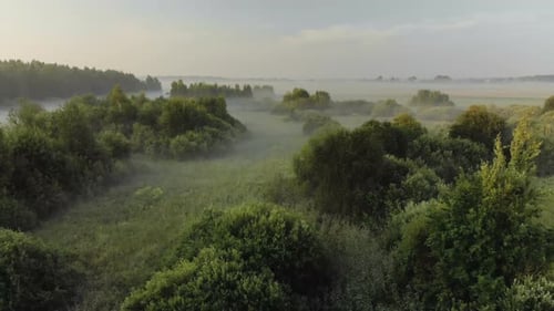 Landscape Sunrise Bright Sun Over a Misty Meadow with Trees on a Clear Morning. Natural Rural Scene