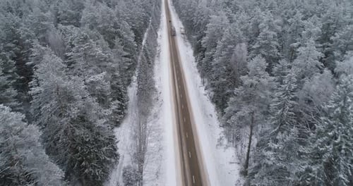 Winter Road in the Forest