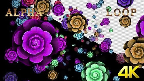 Colorful Fluid Flowers Animation with Decorative Elements