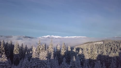 Flying Over Beautiful Landscape of Winter Mountains