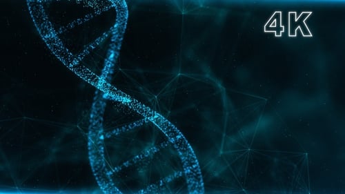 DNA Plexus