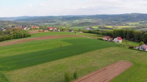 Aerial Drone View of Green Fields, Hills and Trees in a Village with Small Houses. Poland.