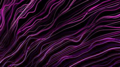 Abstract Wavy Glowing Purple Lines Dynamic Background