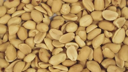Peanuts