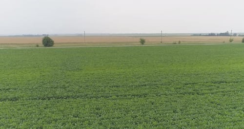 Aerial view of plantations