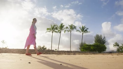Traveler on Beach with Beautiful Coconut Green Palm Trees on Tropical Island